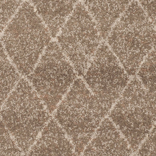 Safavieh Tunisia TUN1511 Brown Area Rug 