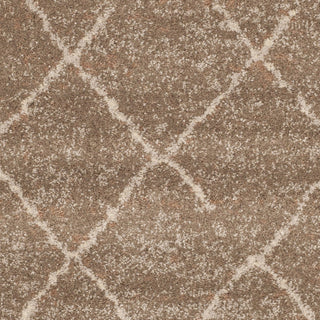 Safavieh Tunisia TUN1511 Brown Area Rug 