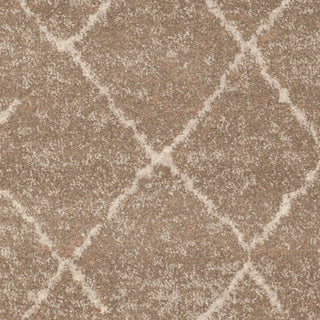 Safavieh Tunisia TUN1511 Brown Area Rug 