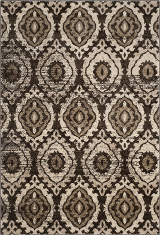 Safavieh Tunisia TUN292B Brown/Creme Area Rug main image