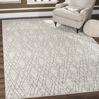 Safavieh Tunisia TUN295G Ivory/Light Grey Area Rug  Feature