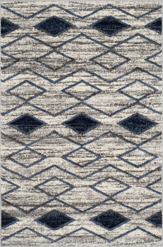 Safavieh Tunisia TUN299P Light Grey/Blue Area Rug 