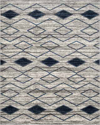 Safavieh Tunisia TUN299P Light Grey/Blue Area Rug 