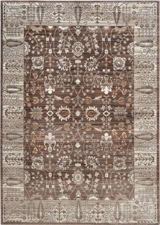 Safavieh Valencia VAL118F Brown/Beige Area Rug main image