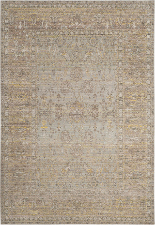 Safavieh Valencia VAL123C Grey/Multi Area Rug main image