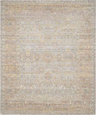 Safavieh Valencia VAL123C Grey/Multi Area Rug 