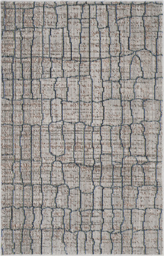 Safavieh Valencia VAL202C Grey/Multi Area Rug 