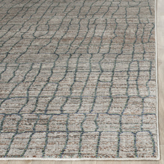 Safavieh Valencia VAL202C Grey/Multi Area Rug 