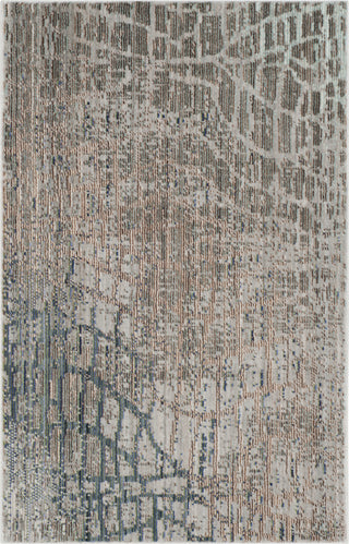 Safavieh Valencia VAL204C Grey/Multi Area Rug 