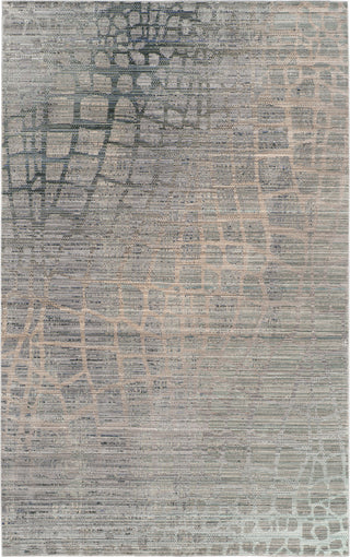 Safavieh Valencia VAL204C Grey/Multi Area Rug main image