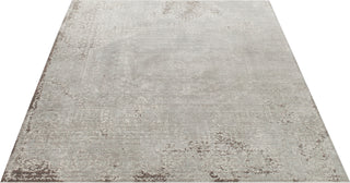 Safavieh Valencia VAL205C Grey/Multi Area Rug 