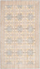 Safavieh Valencia VAL210F Light Grey/Multi Area Rug 