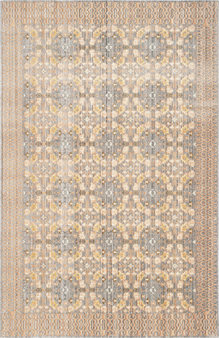 Safavieh Valencia VAL210F Light Grey/Multi Area Rug 