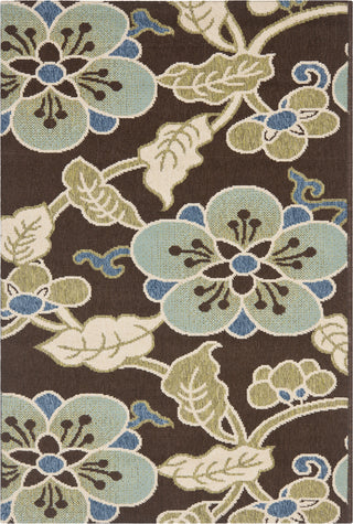 Safavieh Veranda VER001 Chocolate/Aqua Area Rug 