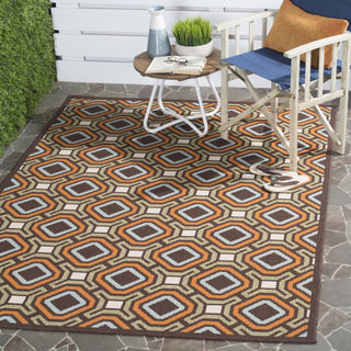 Safavieh Veranda VER089 Chocolate/Terracotta Area Rug  Feature