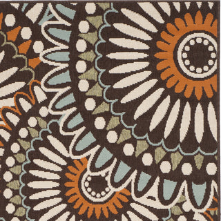 Safavieh Veranda VER091 Chocolate/Terracotta Area Rug 