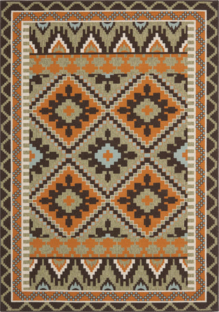 Safavieh Veranda VER096 Green/Terracotta Area Rug 