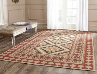 Safavieh Veranda VER099 Red/Natural Area Rug  Feature