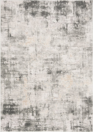 Safavieh Vogue 100 VGE143A Beige/Charcoal Area Rug main image