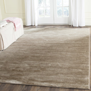 Safavieh Vision VSN606C Light Brown Area Rug 