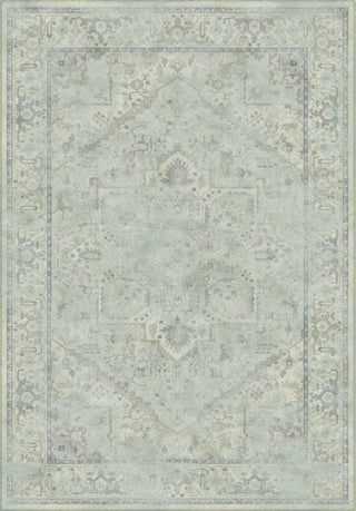 Safavieh Vintage VTG114 Light Blue Area Rug 