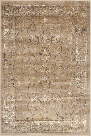 Safavieh Vintage VTG117 Taupe Area Rug main image