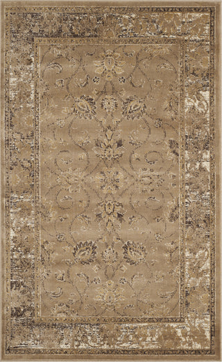 Safavieh Vintage VTG117 Taupe Area Rug 