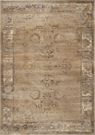 Safavieh Vintage VTG117 Taupe Area Rug 