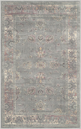 Safavieh Vintage VTG117 Grey/Multi Area Rug 