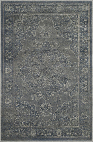 Safavieh Vintage VTG158 Light Blue/Light Grey Area Rug main image