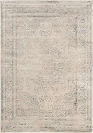 Safavieh Vintage VTG158 Light Blue/Cream Area Rug 