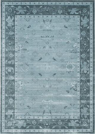 Safavieh Vintage VTG245B Light Blue/Dark Blue Area Rug 