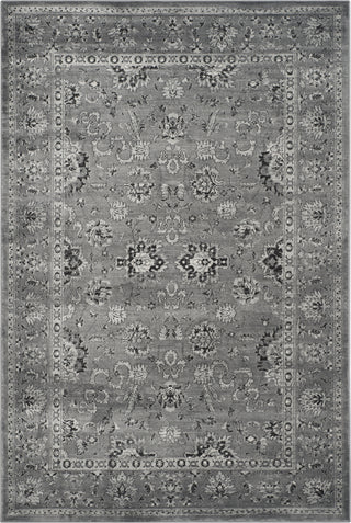 Safavieh Vintage VTG442H Dark Grey/Light Grey Area Rug main image