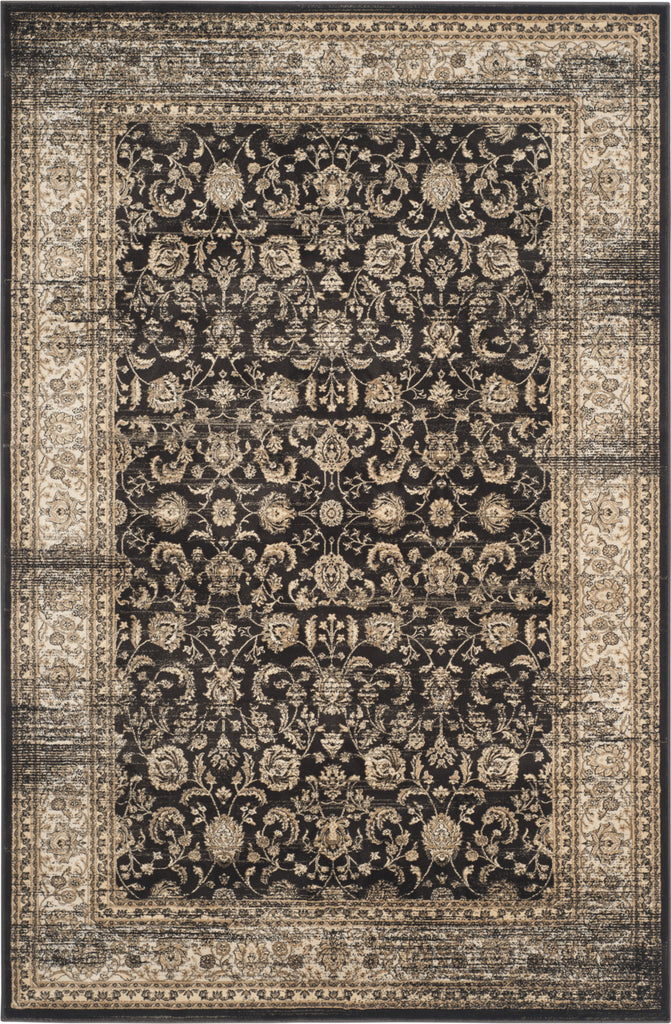 Safavieh Vintage VTG571F Black/Ivory Area Rug main image