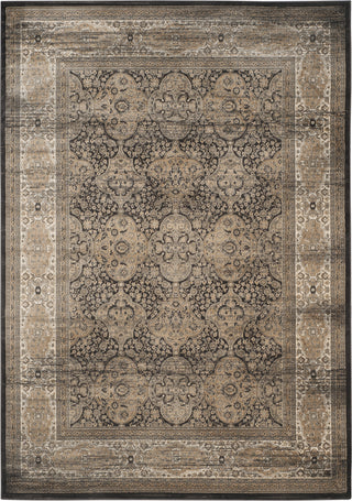 Safavieh Vintage VTG573F Black/Ivory Area Rug 