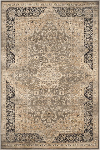 Safavieh Vintage VTG574D Taupe/Black Area Rug main image