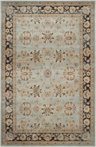 Safavieh Vintage VTG575H Light Blue/Brown Area Rug main image