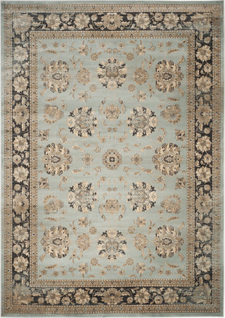 Safavieh Vintage VTG575H Light Blue/Brown Area Rug 