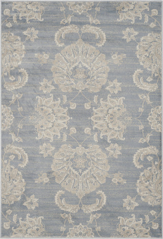 Safavieh Vintage VTG578L Light Blue/Ivory Area Rug 