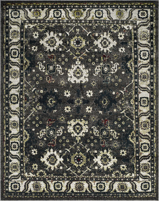 Safavieh Vintage Hamadan VTH214M Dark Grey/Ivory Area Rug main image