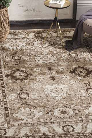 Safavieh Vintage Hamadan VTH214T Taupe Area Rug 