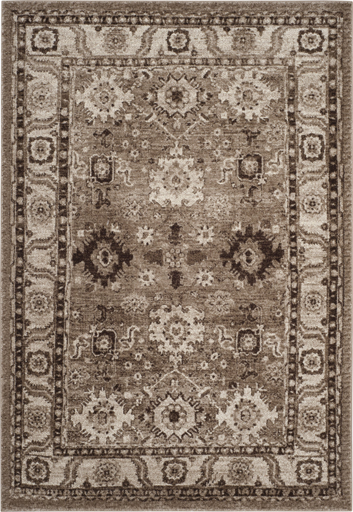 Safavieh Vintage Hamadan VTH214T Taupe Area Rug main image