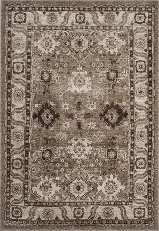 Safavieh Vintage Hamadan VTH214T Taupe Area Rug main image