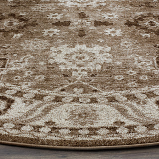 Safavieh Vintage Hamadan VTH214T Taupe Area Rug 