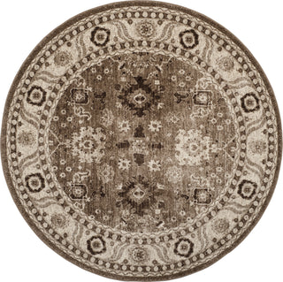 Safavieh Vintage Hamadan VTH214T Taupe Area Rug 