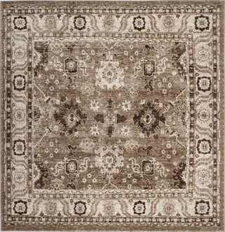 Safavieh Vintage Hamadan VTH214T Taupe Area Rug 