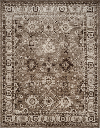 Safavieh Vintage Hamadan VTH214T Taupe Area Rug 