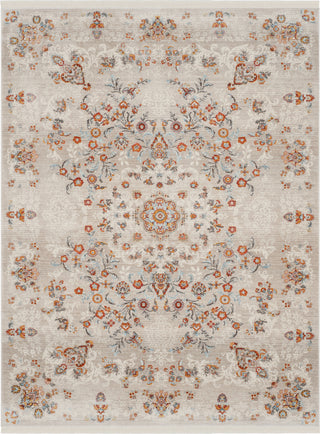 Safavieh Vintage Persian VTP408C Grey/Multi Area Rug main image