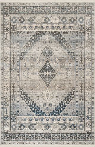 Safavieh Vintage Persian VTP472F Grey/Blue Area Rug main image