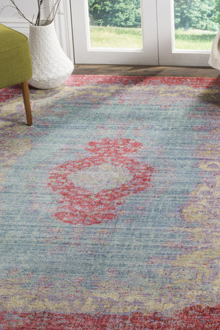 Safavieh Windsor WDS305A Light Blue/Fuchsia Area Rug 